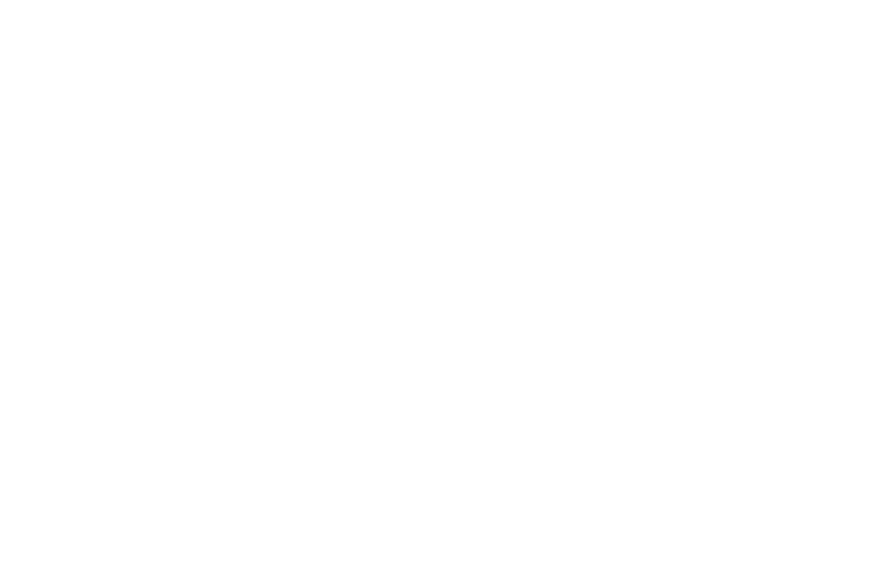 Platinum Travel US